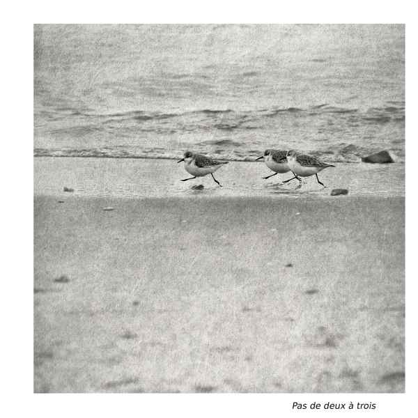 Pas de deux à trois